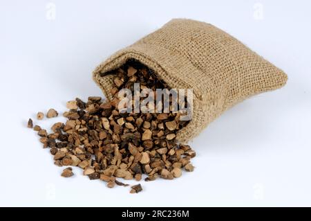 Nutgrass rhizome (Cyperi Rhizoma), Xiang Fu, cut out, object Stock Photo