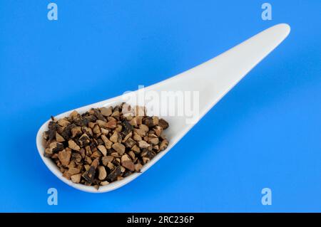 Nutgrass rhizome (Cyperi Rhizoma), Xiang Fu, cut out, object Stock Photo