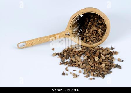 Nutgrass rhizome (Cyperi Rhizoma), Xiang Fu, cut out, object Stock Photo