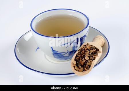 (Cyperi Rhizoma), Xiang Fu, nut grass rootstock tea Stock Photo