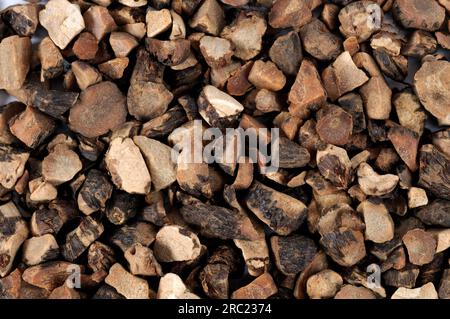 Nutgrass rhizome (Cyperi rhizoma), Xiang Fu Stock Photo