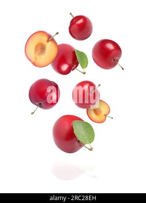 Delicious ripe cherry plums with leaves falling isolated on white Stock Photo