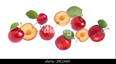 Delicious ripe cherry plums with leaves falling isolated on white Stock Photo