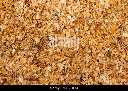 Fresh orange sawdust on ground Stock Photo