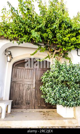 Facade with brown wooden door and covered by plants in Tavira city, Portugal Stock Photo