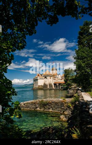 Chateau de Chillon framed by a tree in summer Stock Photo