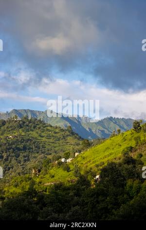 wonderful springtime landscape in mountains. grassy field and rolling hills. rural scenery Stock Photo