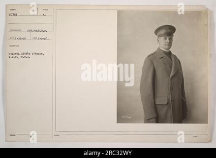 Colonel Arthur O'Brien, Q.M.C., U.S.A., photographed on January 2, 1920 ...