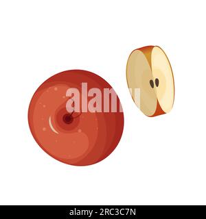 A set of isolated coloured red coloured halves, slices and whole juicy fruits on a white background. Realistic collection of fruits. Stock Vector