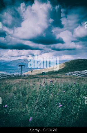 Hut on hill with thistle in the foreground under a dramatic sky Stock Photo