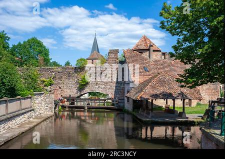 Enclosure wall of former Benedictine abbey and washhouse on Lauter Canal, Wissembourg, Alsace, France, Europe Stock Photo