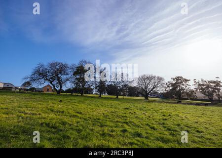 The Briars in Mount Martha Australia Stock Photo