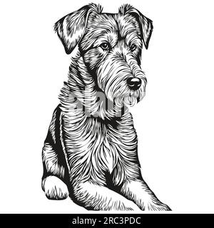 Airedale Terrier dog face vector portrait, funny outline pet ...