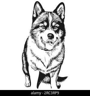 Akita dog pencil hand drawing vector, outline illustration pet face ...