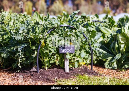 The Briars in Mount Martha Australia Stock Photo