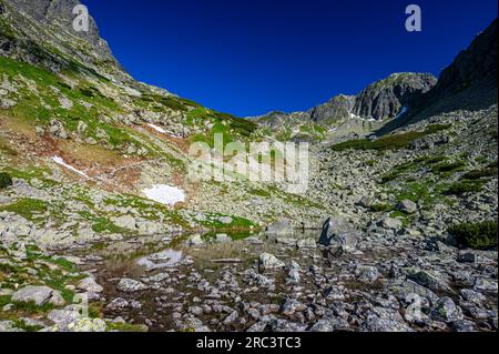 One of the most beautiful travel destination in Slovakia. Summer landscape of the High Tatras. The mount Jastrabia Veza and the Cervena Valley. Tatra Stock Photo