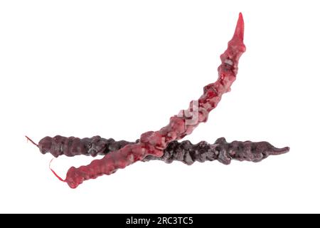 Churchkhela on a white background. Churchkhela in Georgian cuisine is a traditional sweet delicacy made from grape must, flour and various nuts. It is Stock Photo