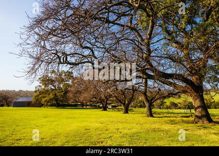 The Briars in Mount Martha Australia Stock Photo