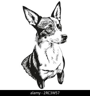 Basenji dog breed line drawing, clip art animal hand drawing vector ...