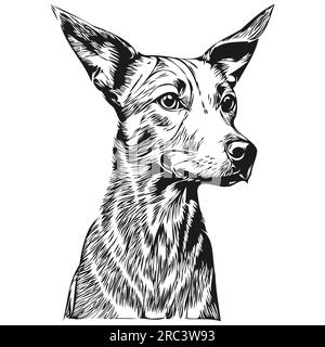 American Hairless Terrier dog ink sketch drawing, vintage tattoo or t ...