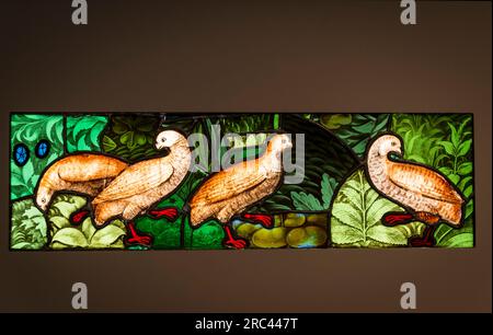 Ducks stained glass, Cluny Museum - National Museum of the Middle Ages, Paris, France Stock Photo