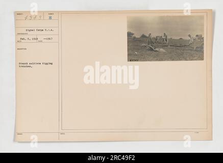 French soldiers digging trenches in 1917. Photograph taken by the Signal Corps of the U.S.A. on February 5, 1918. Stock Photo