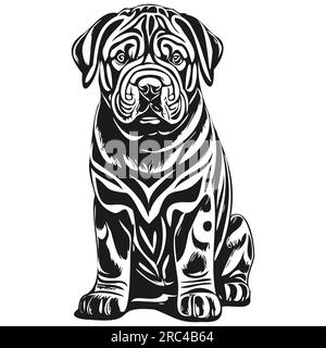 Chinese Shar Pei dog pet sketch illustration, black and white engraving vector realistic breed pet Stock Vector