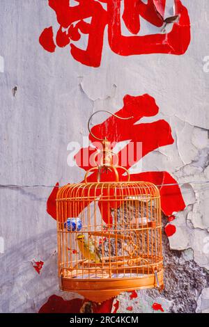 Bird In a Cage in Kowloon, Hong Kong, Hong Kong Special Administrative Region of the People's Republic of China Stock Photo