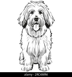 Old English Sheepdog Stock Vector Image & Art - Alamy