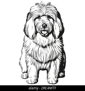 Old English Sheepdog Stock Vector Image & Art - Alamy