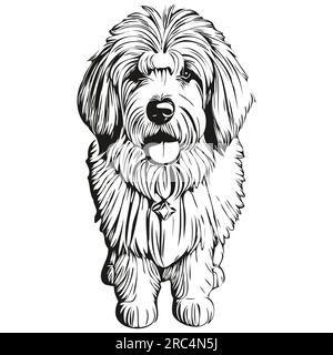 Old English Sheepdog Stock Vector Image & Art - Alamy