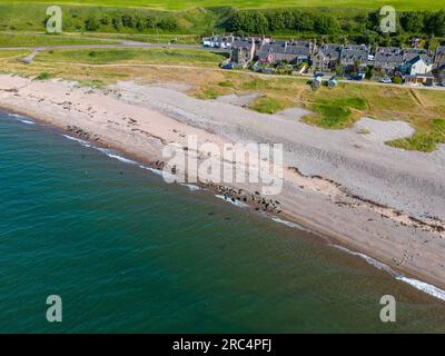 Aerial drone video of a group seals at the beach in Portgordon, Moray in Scotland Stock Photo