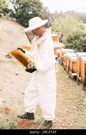 Side view of male beekeeper wearing protective costume standing in apiary with part of hive Stock Photo