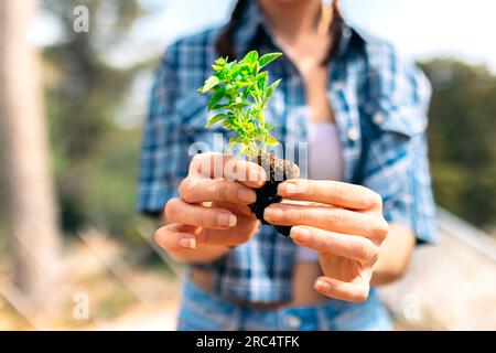 Anonymous positive young female in casual clothes while standing with plant near fence in countryside Stock Photo