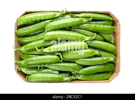Cardboard punnet with fresh pea pods, containing green peas, the fruits and seeds of the plant Pisum sativum. Used fresh, frozen, dried or canned. Stock Photo