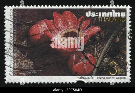 RUSSIA KALININGRAD, 31 MAY 2016: stamp printed by Thailand shows flower, circa 2006 Stock Photo