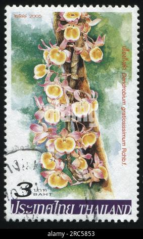 RUSSIA KALININGRAD, 31 MAY 2016: stamp printed by Thailand shows flower, circa 2005 Stock Photo
