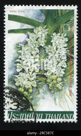 RUSSIA KALININGRAD, 31 MAY 2016: stamp printed by Thailand shows flower, circa 2005 Stock Photo