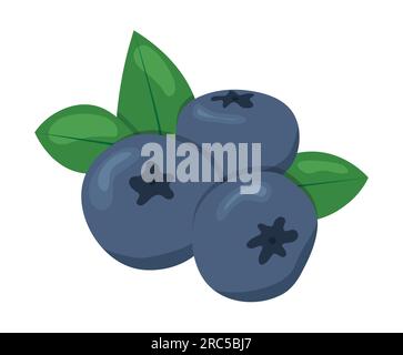 blueberry fruits icon - vector illustration Stock Vector