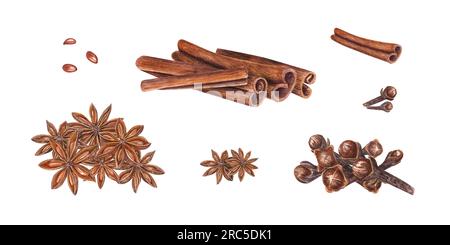 Watercolor clip art of star anise, dried cloves, cinnamons sticks isolated on white background. Botanical illustration for Christmas, New Year cards Stock Photo