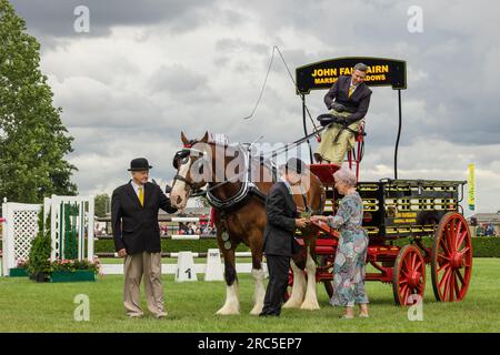 Harrogate, North Yorkshire,  UK.  Tuesday 11 2023. Prize winning team, Mr. John Fairbairn of Marshall Meadows in the Heavy Horse singles class, Great Stock Photo