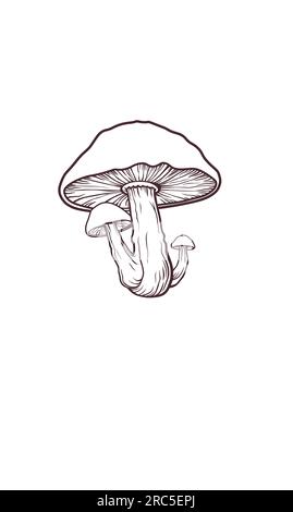 Mushroom vector illustration on white background Stock Vector