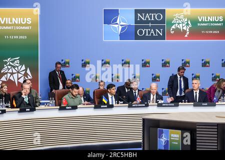 Vilnius, Lithuania. 12th July, 2023. (Photo by Dominika Zarzycka/Sipa USA) Credit: Sipa USA/Alamy Live News Stock Photo