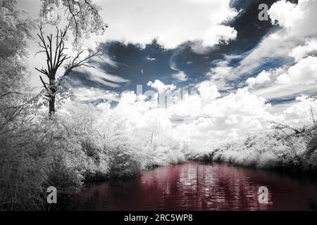 Mostly black and white photograph of a stream with a dead tree standing on the bank. Blue Sky, red water. A crescent moon is visible in an opening. Stock Photo