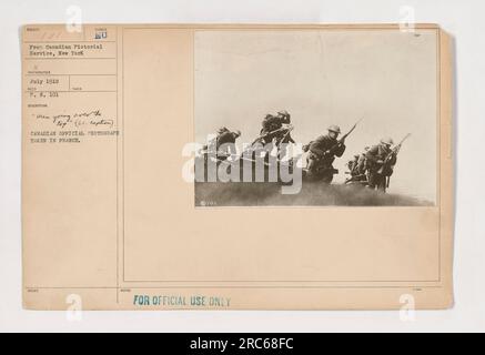 Trench Warfare WW1 - Official Trailer - YouTube