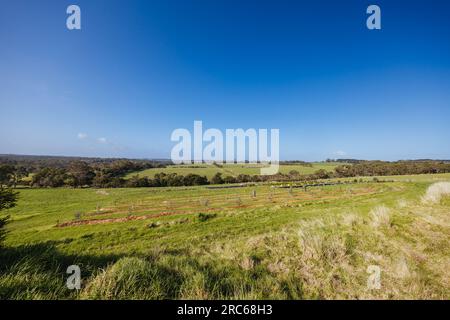 The Briars in Mount Martha Australia Stock Photo