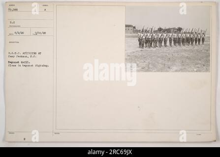 R.O.T.C. cadets at Camp Jackson, South Carolina engaging in bayonet drill. The photo depicts a class in bayonet fighting, showcasing the training exercises carried out by the cadets. This image is part of a series of photographs documenting American military activities during World War One. Stock Photo