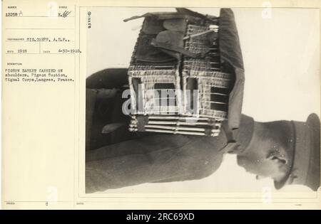 Soldier from the Pigeon Section of the Signal Corps in Langres, France during World War I. The soldier is carrying a pigeon basket on his shoulders. Photograph taken on April 30, 1918. Stock Photo