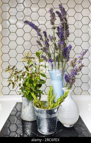 Some jars and vases with plant branches, fragrant rosemary and lots of lavender Stock Photo