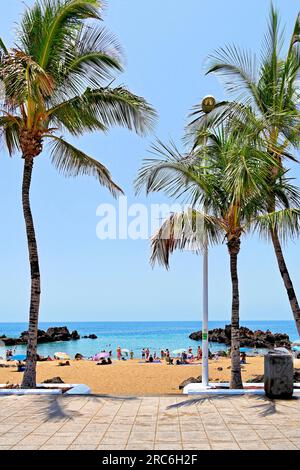 Lanzarote Canary Islands Puerto Del Carmen Playa Chica with  swimmers sunbathers and palm trees against deep blue sky Stock Photo